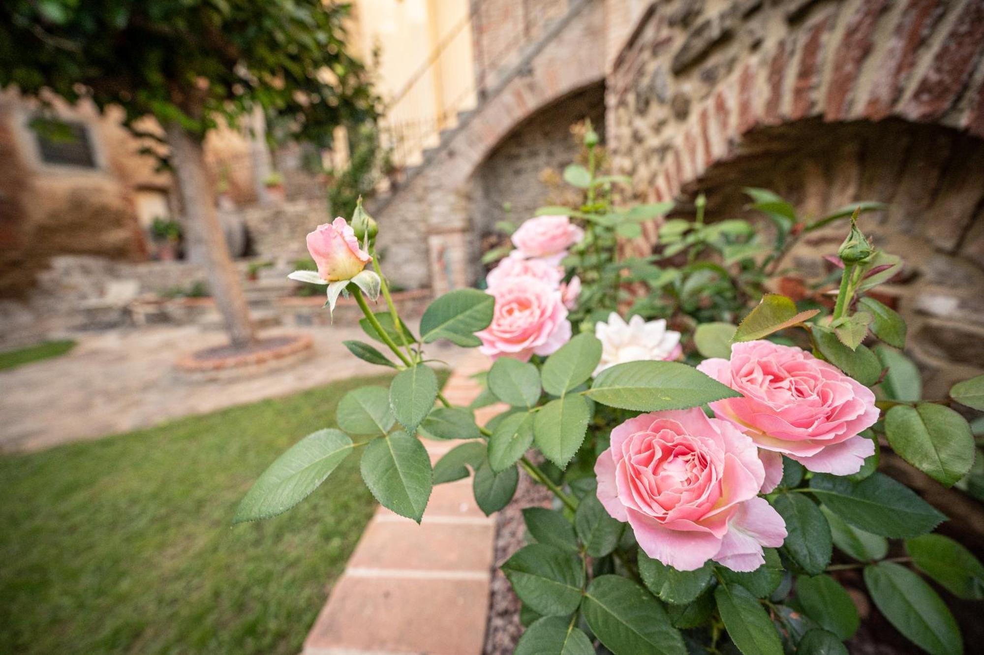 Apartamento Casa La Girandola Castiglion Fiorentino Exterior foto